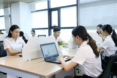 新公司注冊(cè)后，選擇代理記賬的三大好處與明智決策指南